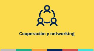 Cooperación y networking