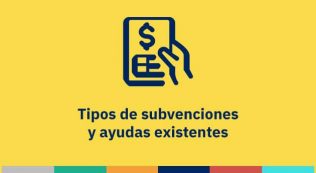 Tipos de subvenciones y ayudas existentes