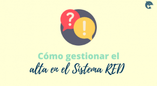 Alta En El Sistema Red