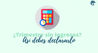 Declarar El Trimestre Sin Ingresos