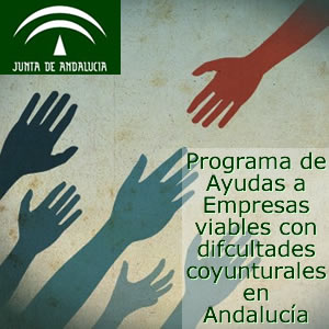 Infoautonomos Ayudas Y Subvenciones Para Empresas En Crisis De Andalucia