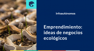 Ideas De Negocios Ecológicos