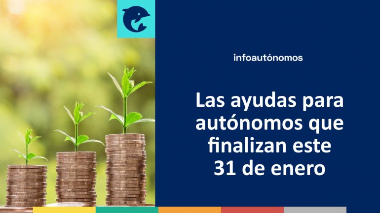 Ayudas Que Finalizan El 31 De Enero