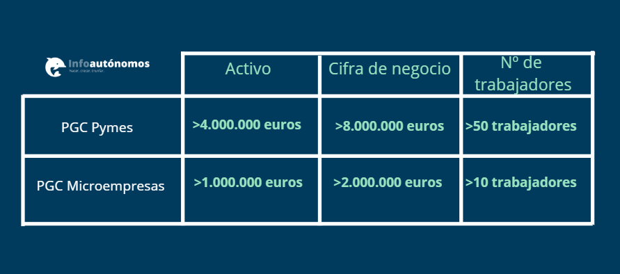 Límites Plan General Contable PYMES