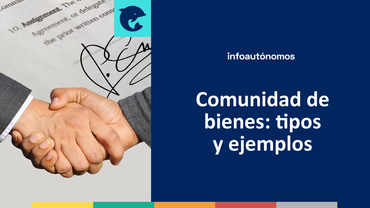 Tipos y ejemplos de comunidad de bienes