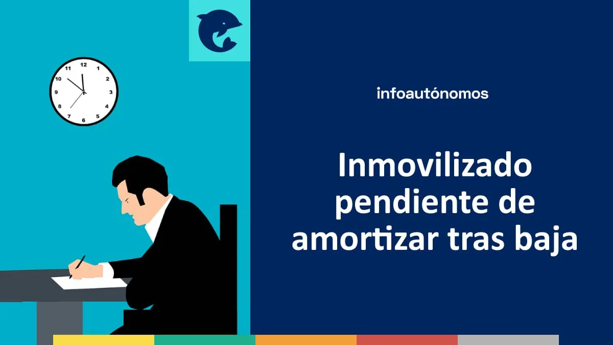 Inmovilizado pendiente amortizar