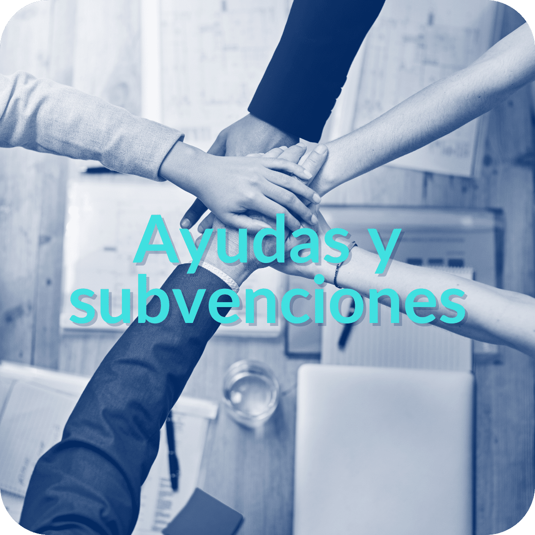 Ayudas Y Subvenciones