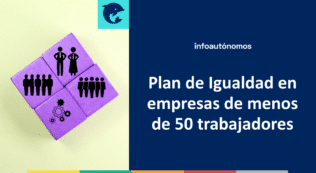 Plan Igualdad empresas menos 50