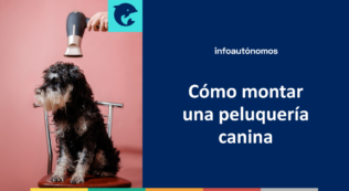 Montar peluquería canina