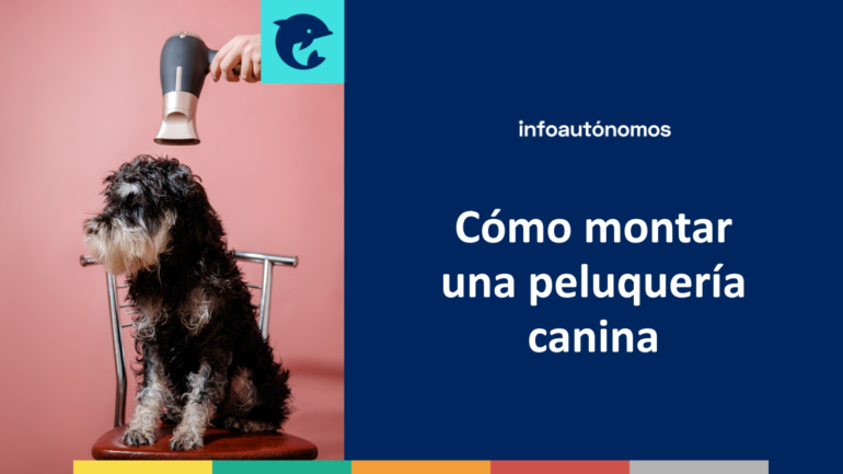 Montar peluquería canina